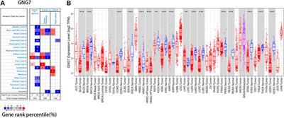 The Prognostic Value of GNG7 in Colorectal Cancer and Its Relationship With Immune Infiltration